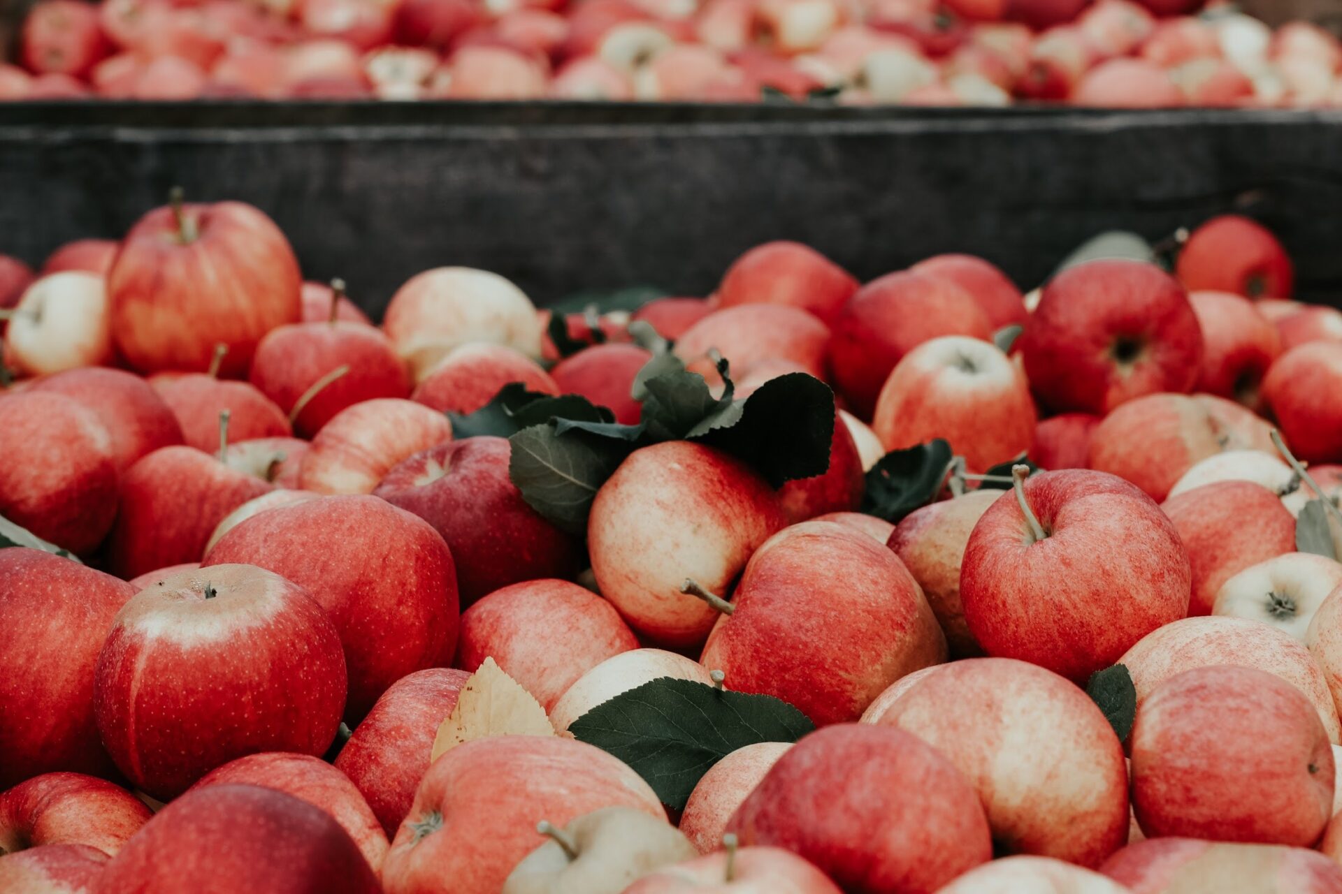 5 Façons Différentes De Manger Des Pommes - Half Your Plate