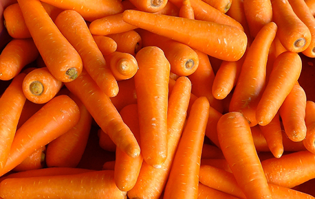 Close up picture of Carrots