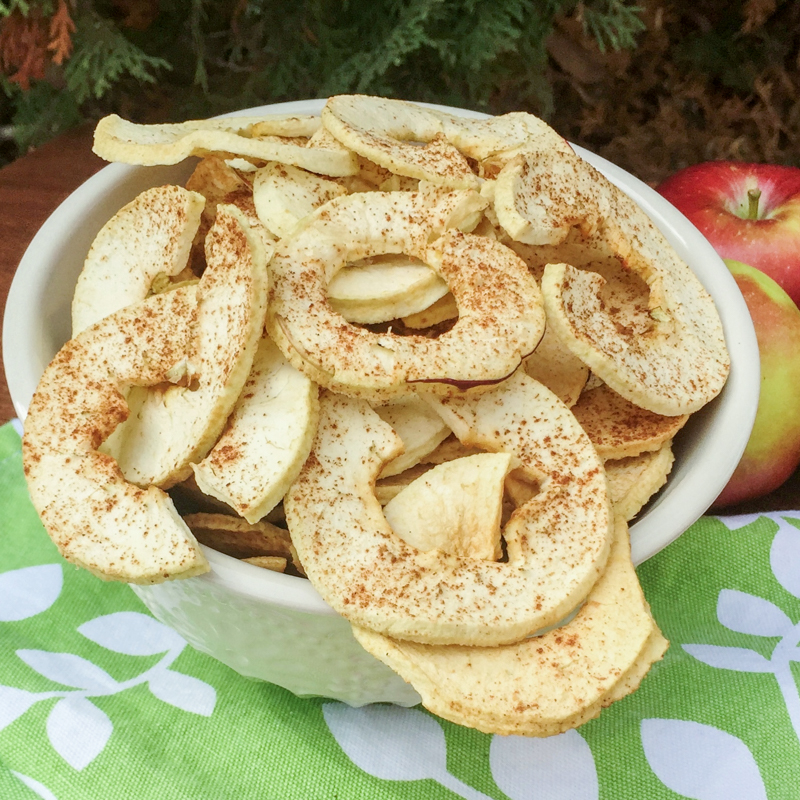 a plate of dried apple slices with cinnamon on them