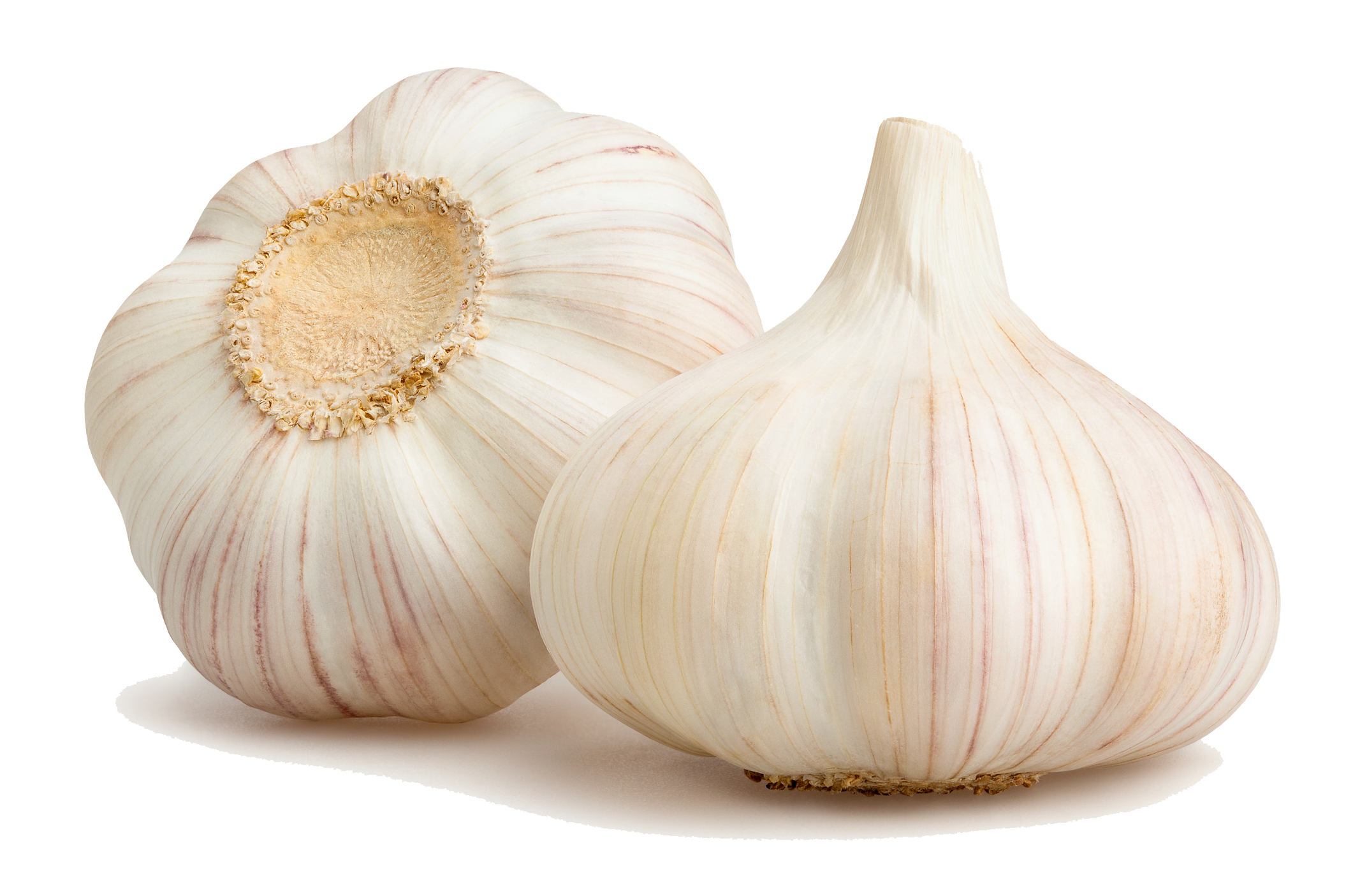 two bulbs of garlic